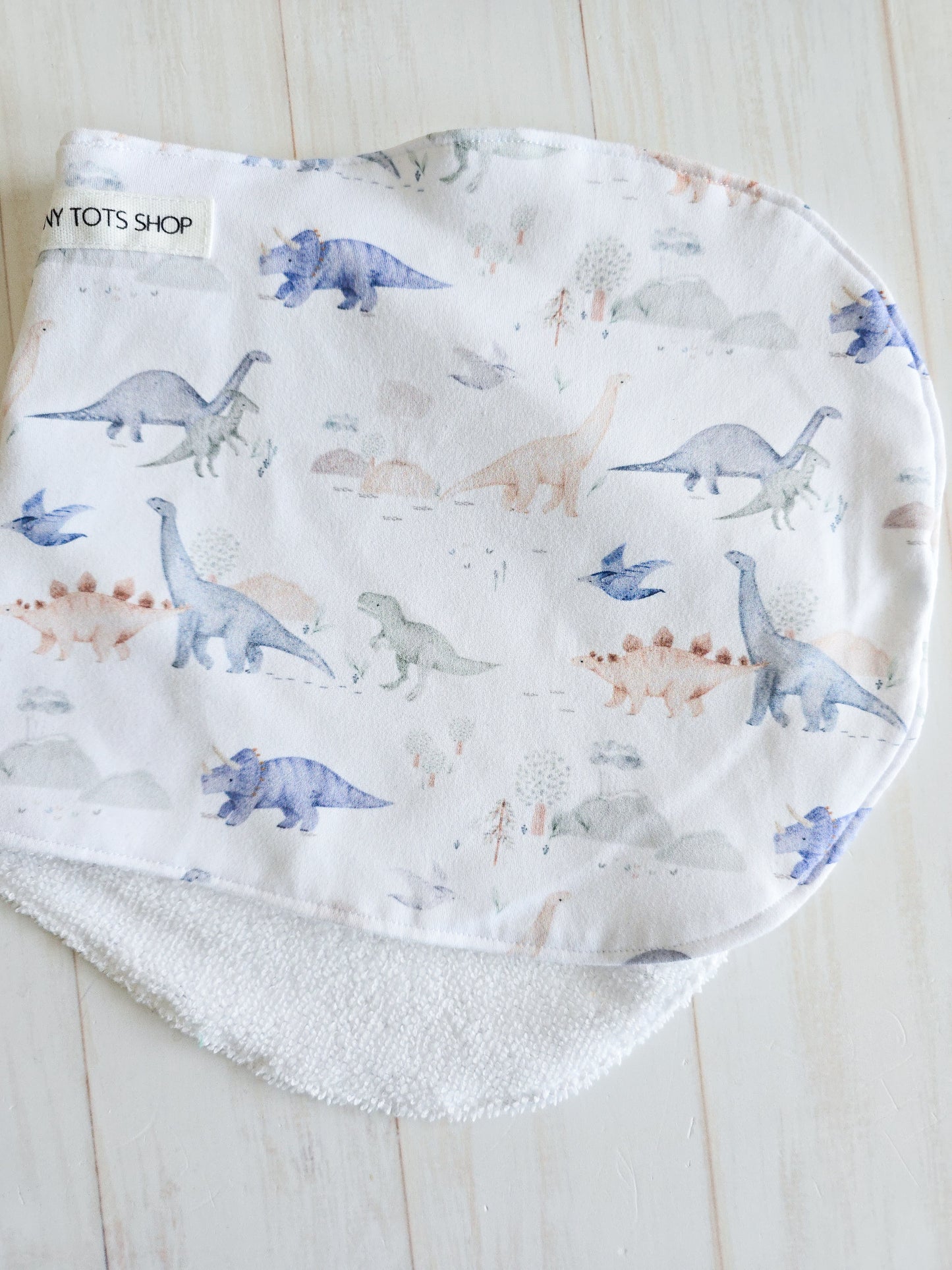 Burp Cloth- Dino Era