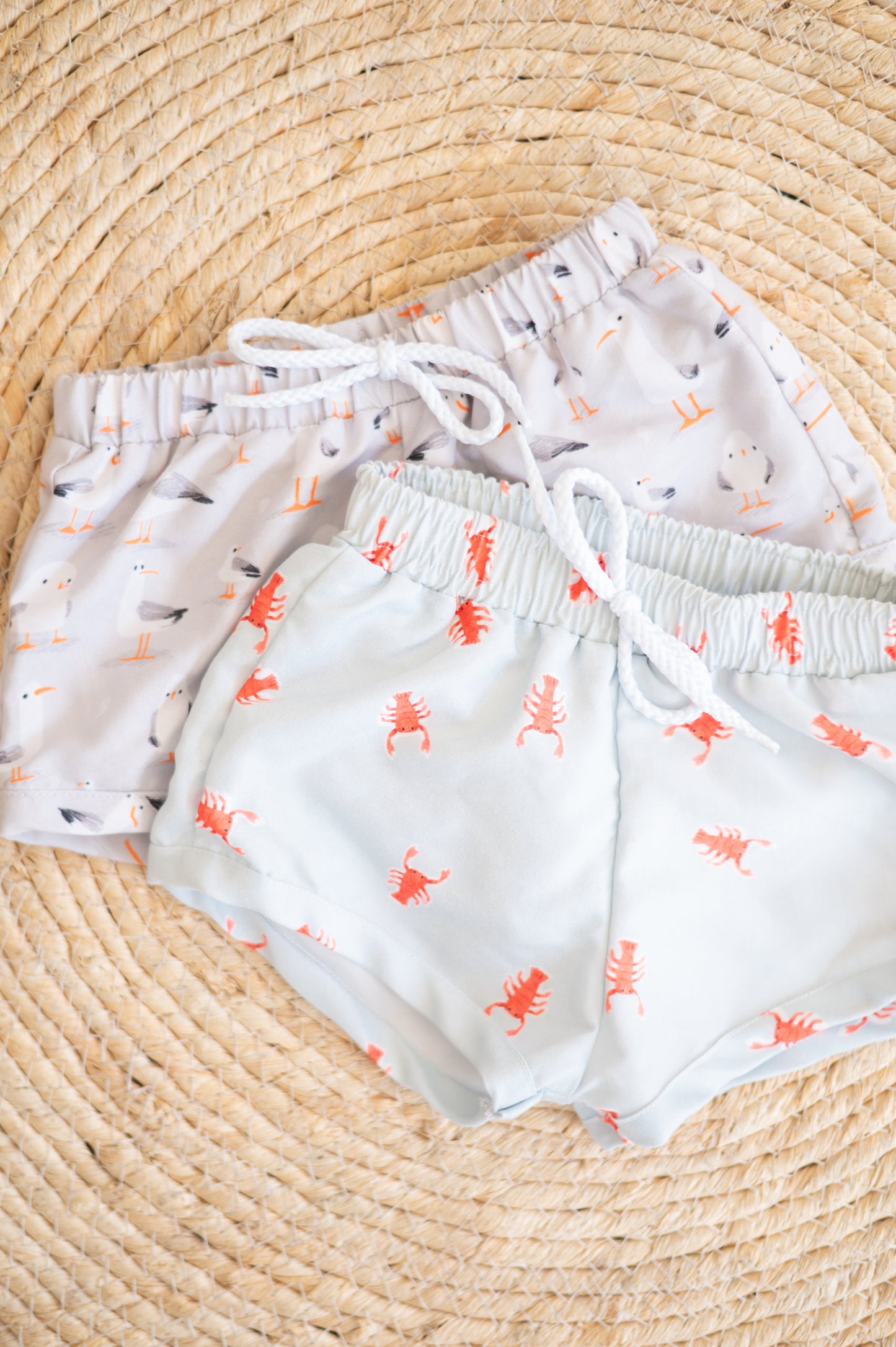 Boys Swim Shorts- Seagulls