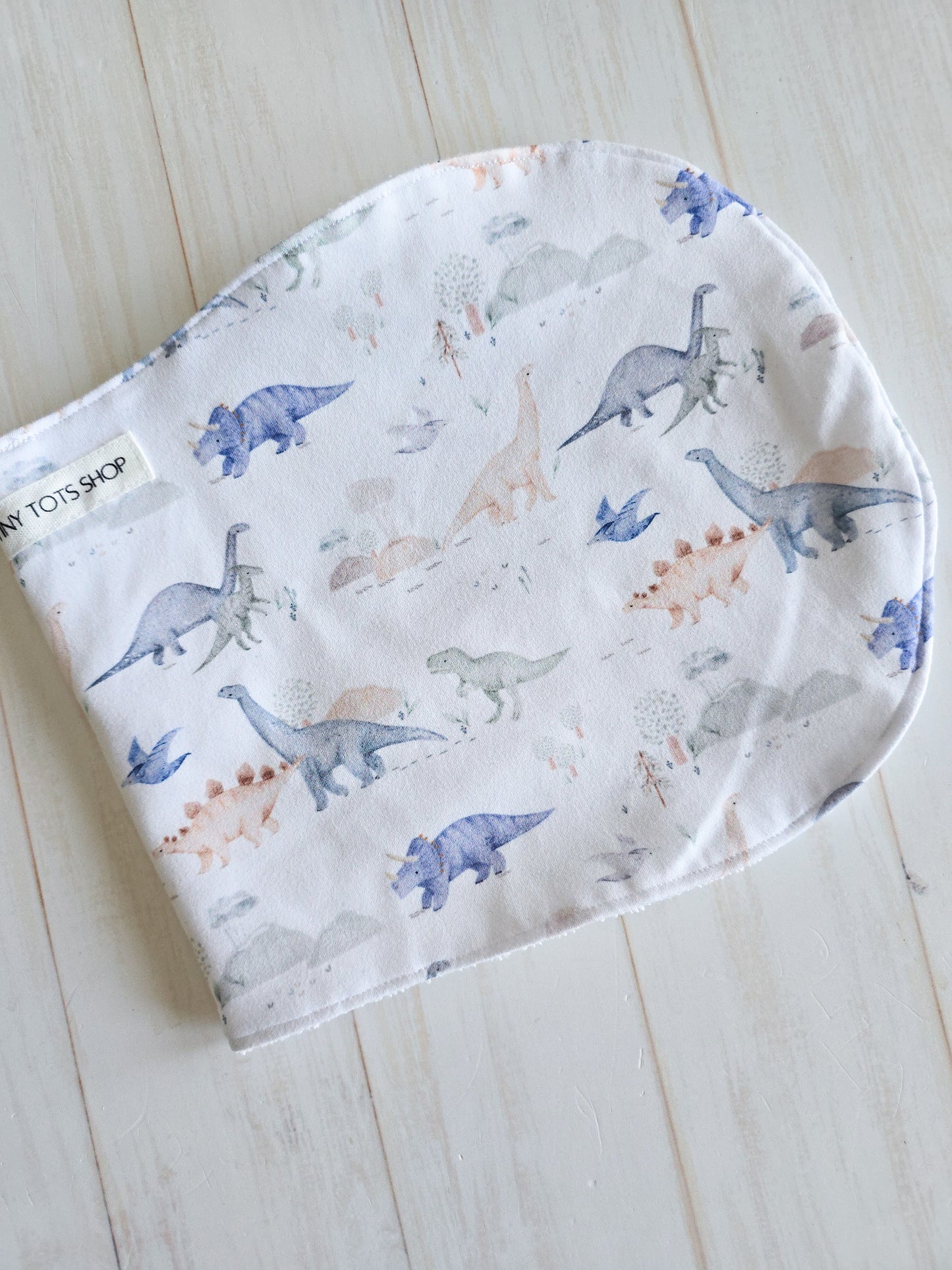 Burp Cloth- Dino Era