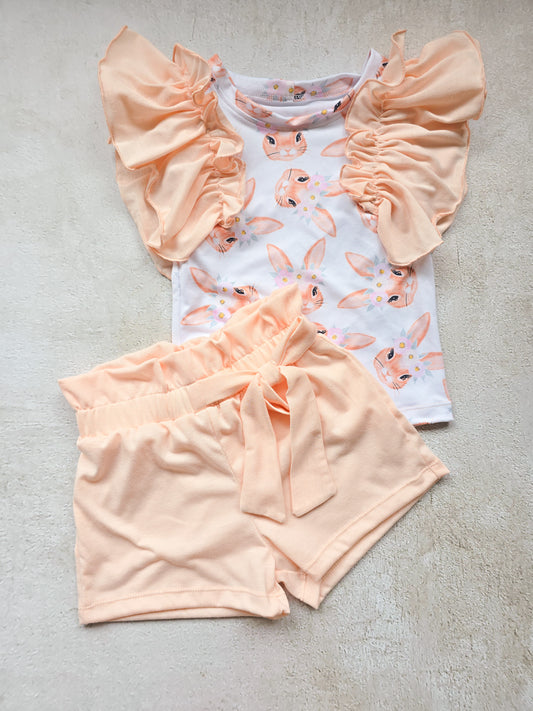 2 Piece Pastel Bunny set