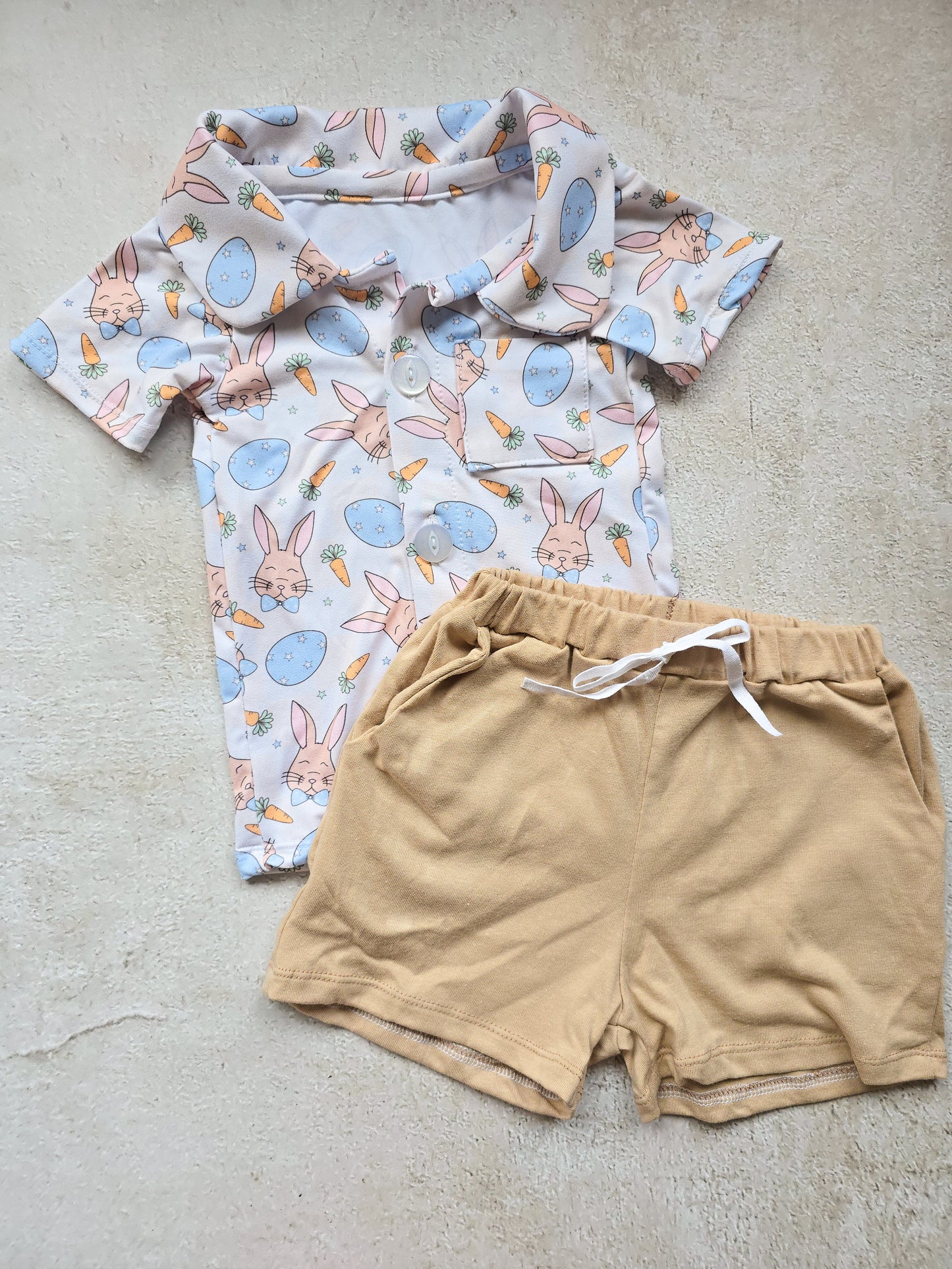 Boys 2 piece Set- Bunnies and Carrots