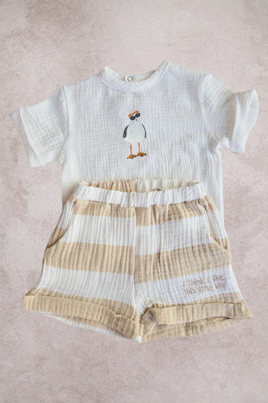Golden Sand Muslin set